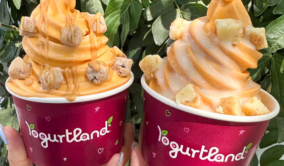 Yogurtland Pumpkin Pie Flavor